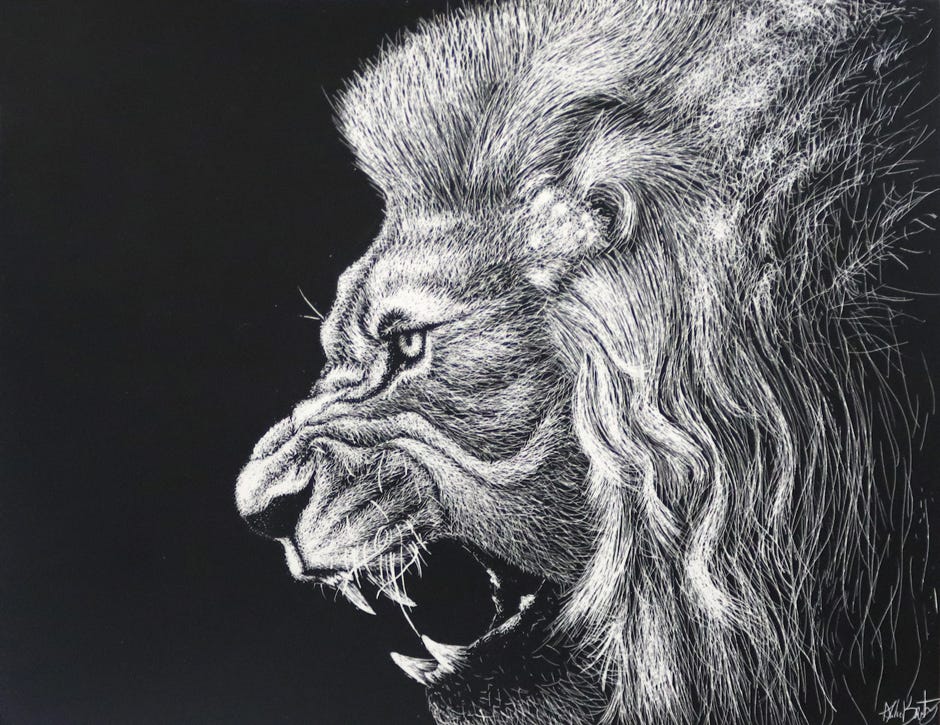 Aidan Beaty won a first-place ribbon in drawing for his “Angry Lion.”