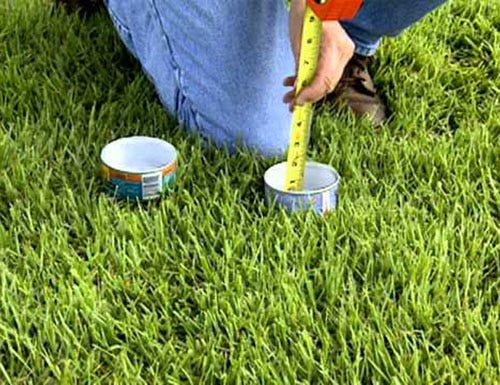 Straight  sided containers an be used to measure exactly how much water your area is getting, either from rain or when watering your lawn.