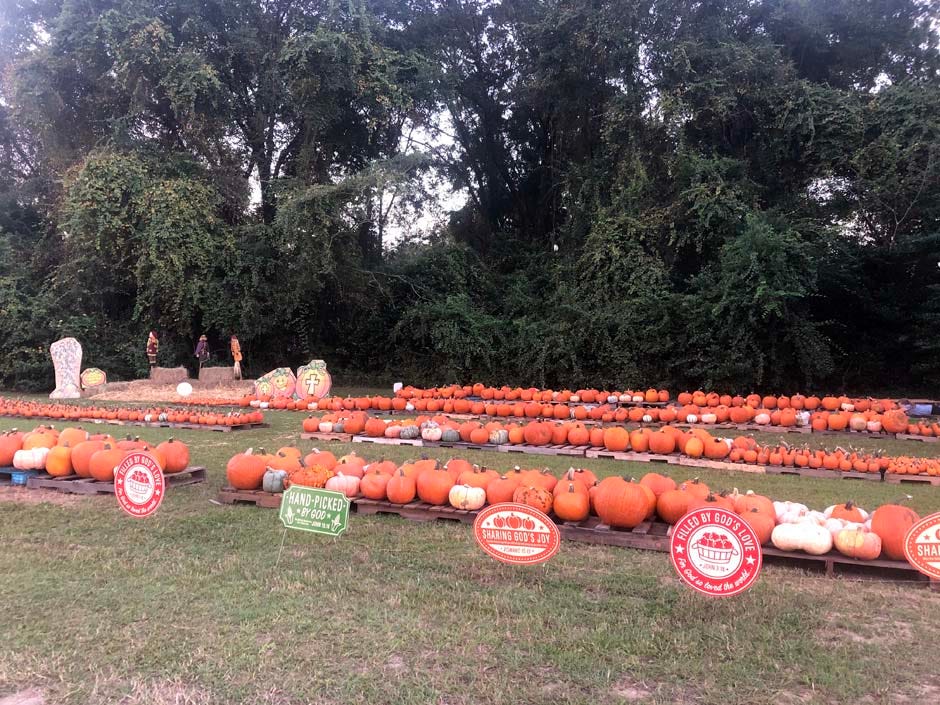Pumpkins are displayed at the First United Methodist Church of Crestview's pumpkin patch. The patch is open through Oct. 31 at the church at the corner of Eighth Avenue and Ferdon Boulevard.