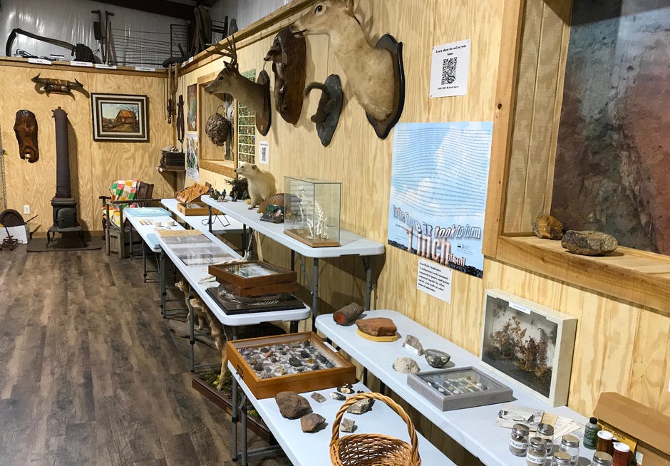 Discover details about conservation and Crestview area flora and fauna at the McMahon Environmental Center’s ribbon cutting, the concluding event of City Government Week 2021. It is 2-5 p.m. Oct. 23 at 135 Butler Circle, Crestview.