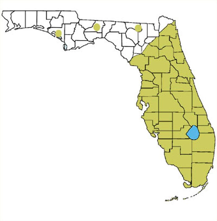 This map shows the range of Cuban treefrogs in Florida.