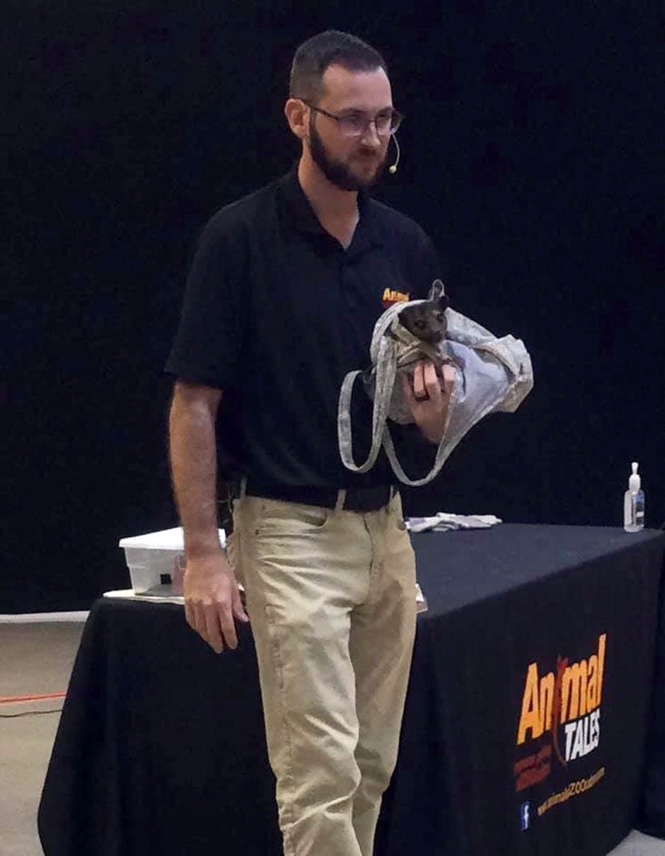 John Ham’s kinkajou plays peek-a-boo at the Crestview Public Library's Summer Reader Awards on July 30, 2021.  For more information about Animal Tales bringing animals to your event, visit www.animaledZOOcation.com.