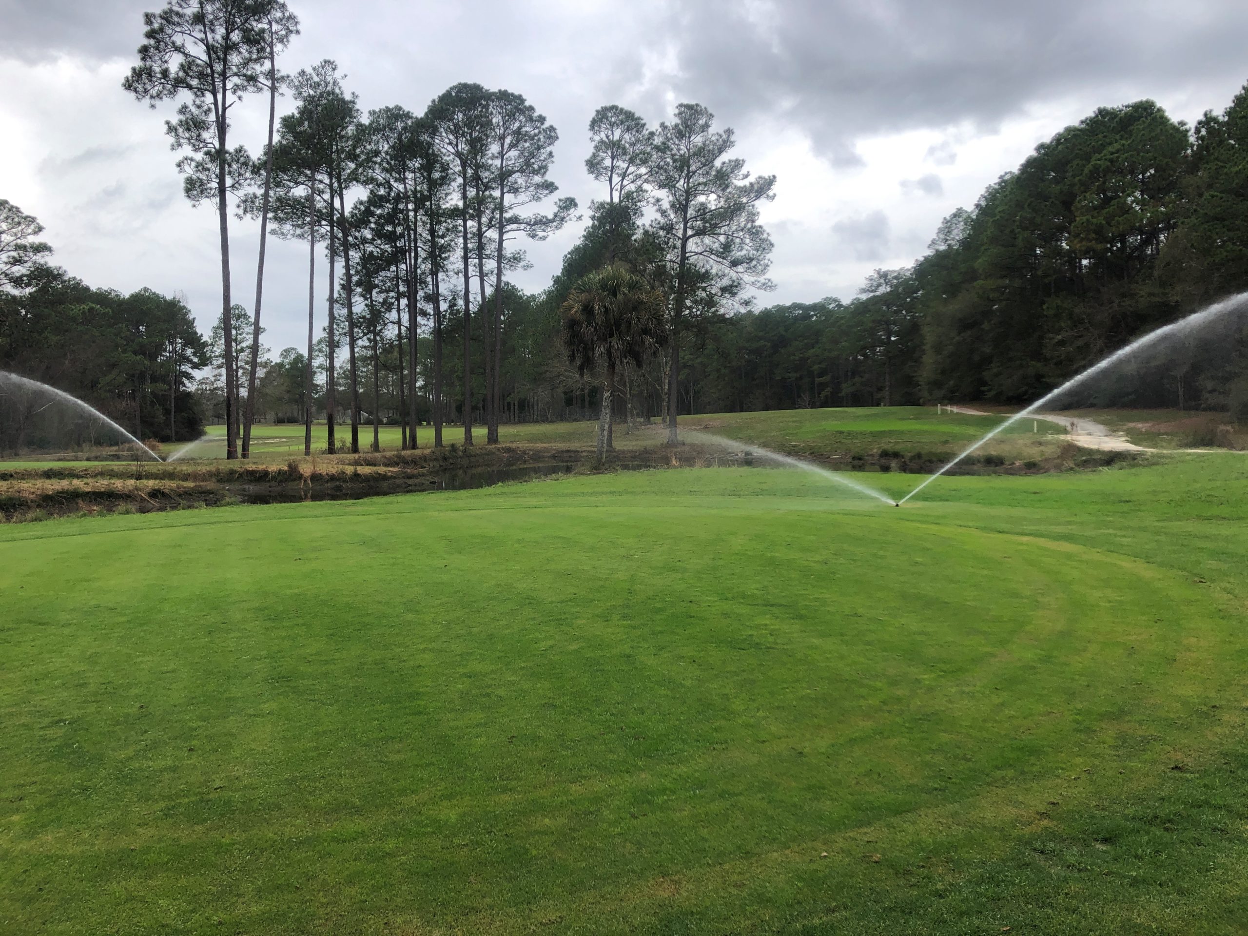 City’s new golf course green, growing and getting ready to open