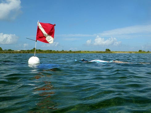 A snorkeler swims near a dive flag.
