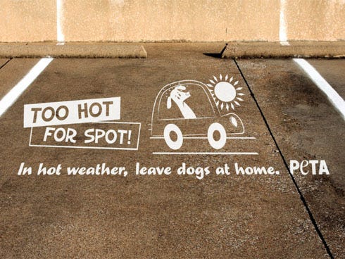 People for the Ethical Treatment of Animals has offered this stencil for free to the Walmart Supercenter in Crestview after a dog was left unattended in a vehicle and died.