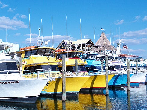 The 2015 Cox Charity Auction will feature a fishing trip and dolphin cruise from Olin Marler Charters. The four week-long auctions run April 11 to May 9.