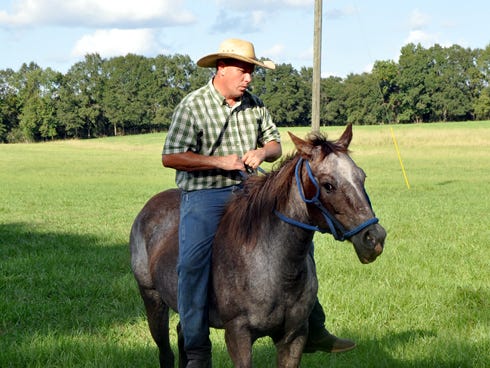 Pastor David Bracewell rides a horse bareback style, after the horse broke free from the Ropin' the Truth ranch. Bracewell and youth pastor Jimmy Bishop encourage students to learn the Bible, handle horses and take responsibilities at the ranch.