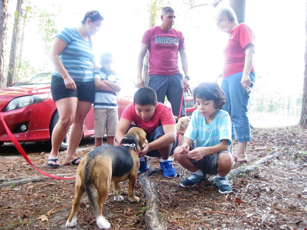 Lucy, a PALS rescue dog, meets her new family. Boys Christian and Ayden Rodriguez introduce themselves to Lucy while their family members — mom Laura, brother Gavin and dad, Mark — chat with PALS owner Hanne Berg.