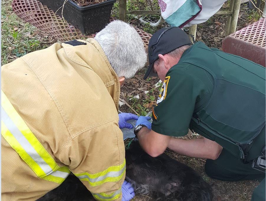 An Okaloosa County Sheriff's Office Deputy performs mouth to mouth resuscitation on Puddles after owner Arjay Floyd carried him out of the home.
