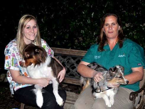 Ami Johnson, Dogwood Acres' certified veterinary technician, left, and Kristy Guthre, head receptionist, hold Reese P.C. and Sinch, respectively, both Australian shepherds. The women work with dogs like these every day at the Crestview clinic.