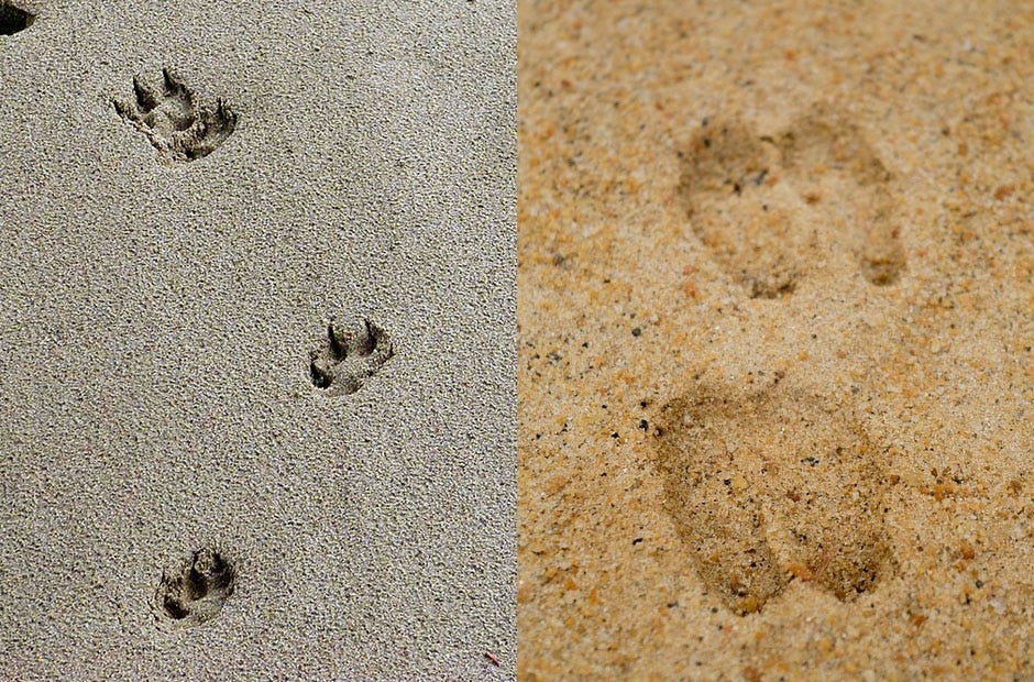 LEFT: WERNER22BRIGITTE | Pixabay.com. RIGHT: UNSPLASH | Pixabay.com.