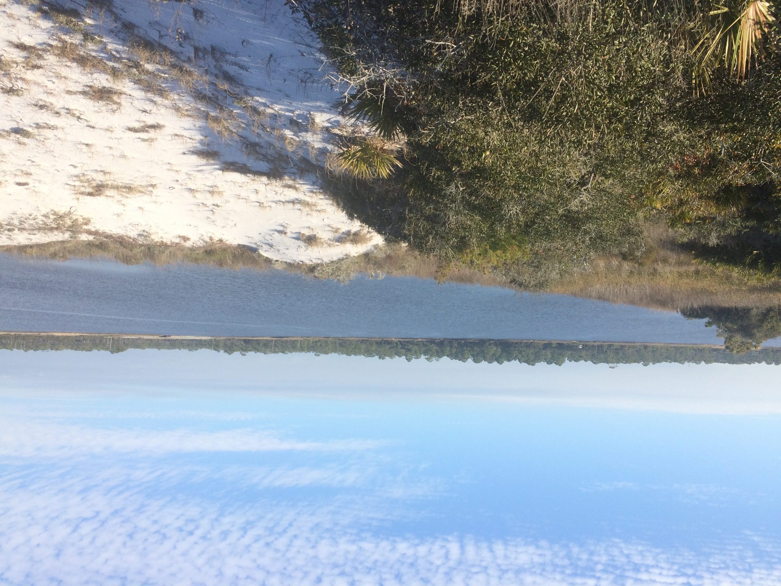 Coastal dune lakes are a recent geological phenomenon, formed 4,000 to 5,000 years ago by wind and migrating sand. (Special to the News Bulletin)