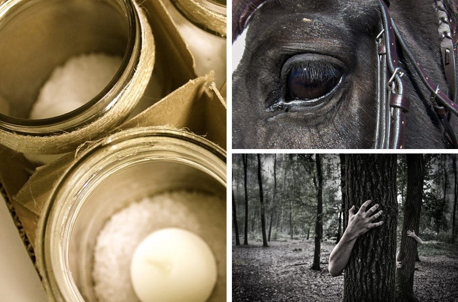 Need something to do this week? Check out these fun events. Photos | Pixabay.com