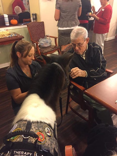 Kindred Spirits Therapy Minis visits with a veteran on Veterans Day at Stanley House in Fort Walton Beach. The Baker-based organization works with area facilities, at-risk youths, children grieving the loss of a parent or sibling, veterans and the disabled. Special to the News Bulletin