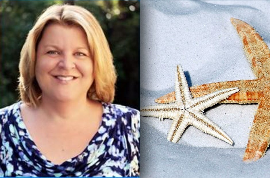 Starfish tend to be a rare sight on the Emerald Coast, according to Laura Tiu, an agent at the University of Florida's Institute of Food and Agricultural Sciences Extension office in Crestview. “The explanation that I have read for this is that there is a series of sandbars that extend into deep water all along the Emerald Coast, and the shells collect on the outermost sandbars and never make it to shore,” Tiu said. (Pixabay)