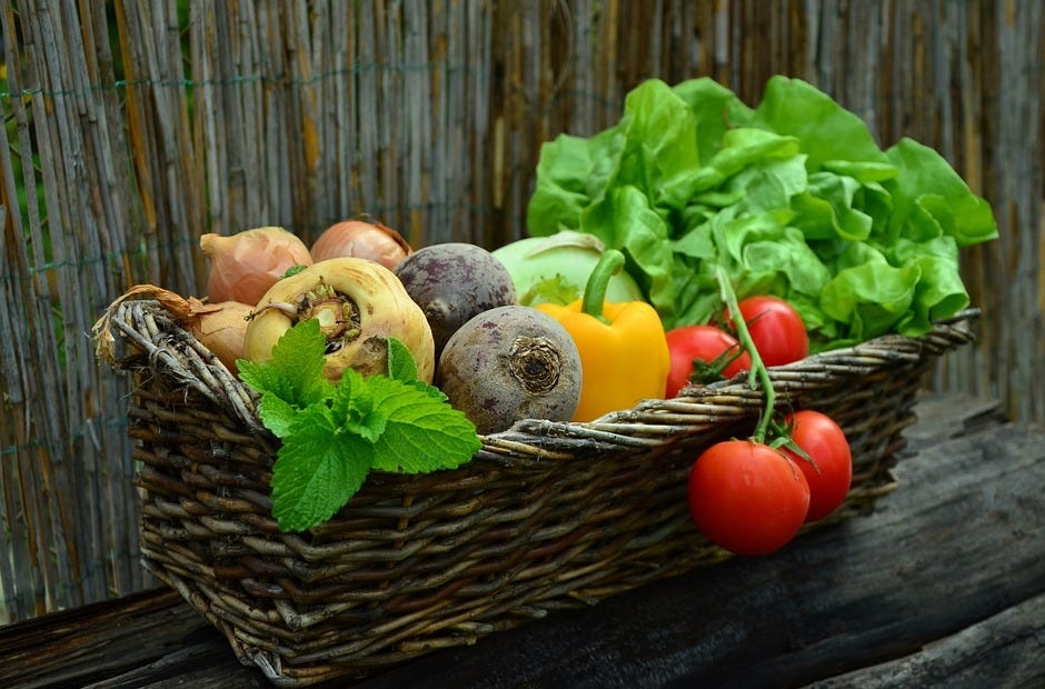 For those new to vegetable gardening, Larry Williams suggests choosing vegetables that your family likes, using recommended varieties for North Florida and ordering them early. Pixabay.com