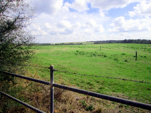 In addition to rural farmland, agriculturally zoned land within Crestview city limits — such as this rolling hill country off Arena Road — is eligible for USDA agricultural initiatives.
