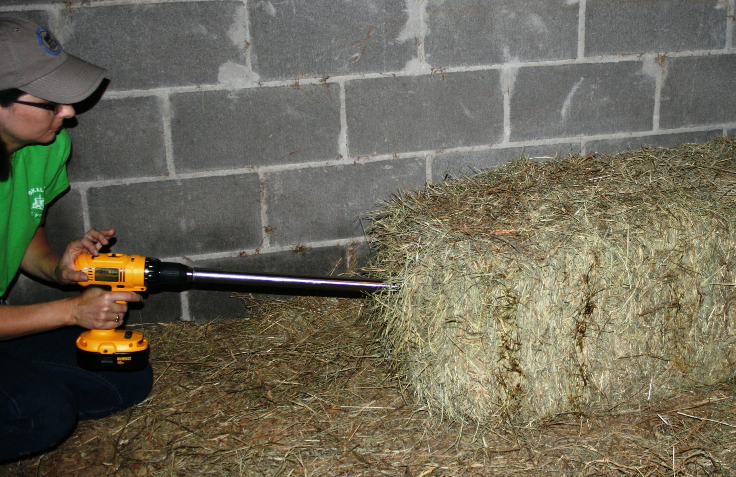 Knowing key information about hay samples will allow you to determine how much feed is necessary to maintain body conditioning for your livestock. Special to the News Bulletin