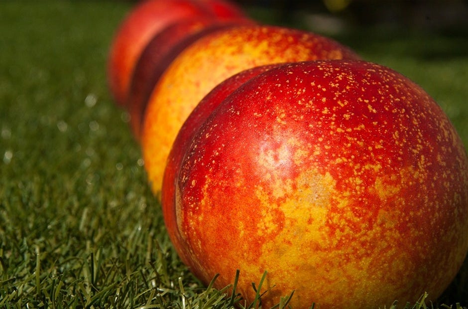 Peaches are difficult to grow successfully at home, according to Larry Williams of the Institute of Food and Agricultural Sciences Extension office in Crestview. Pixabay.com