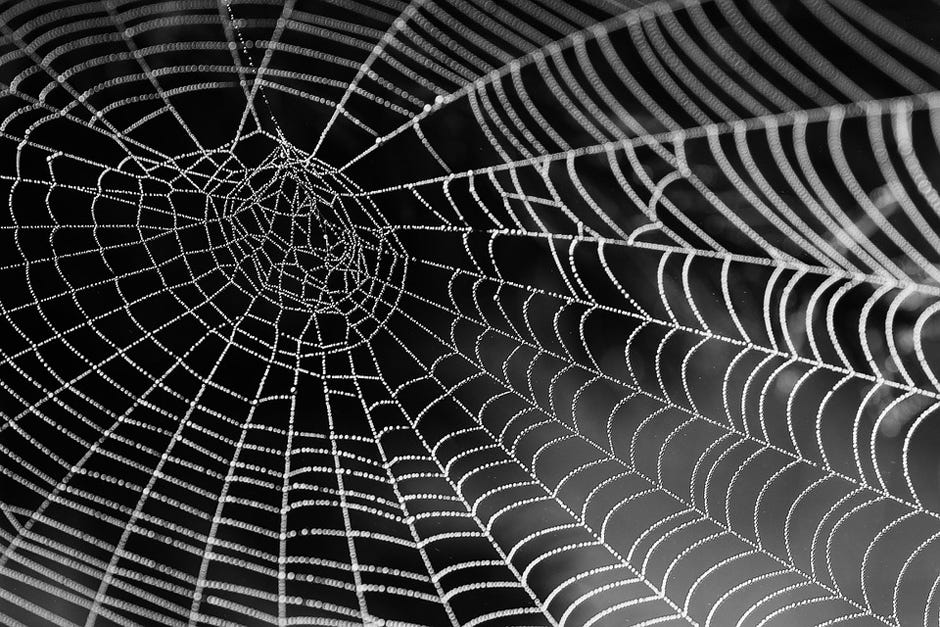Unlike the spider in the fable who pulled the foundation string of his own web, collapsing all he had built, the Rev. Mark Broadhead says Christians should remember their connection to God and keep it strong.