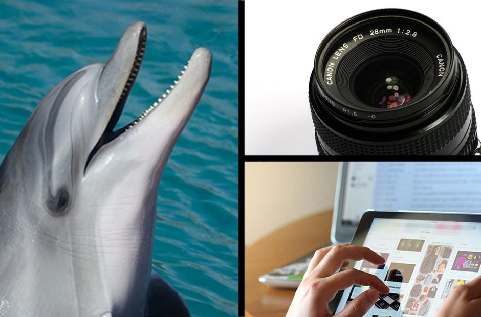 Need something to do this weekend? Check out these fun events. Photos Special to the News Bulletin