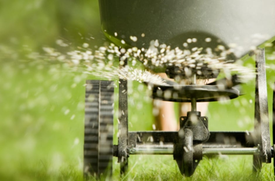 It's time to start thinking about weed prevention, according to University of Florida extension agent Sheila Dunning. Special to the News Bulletin