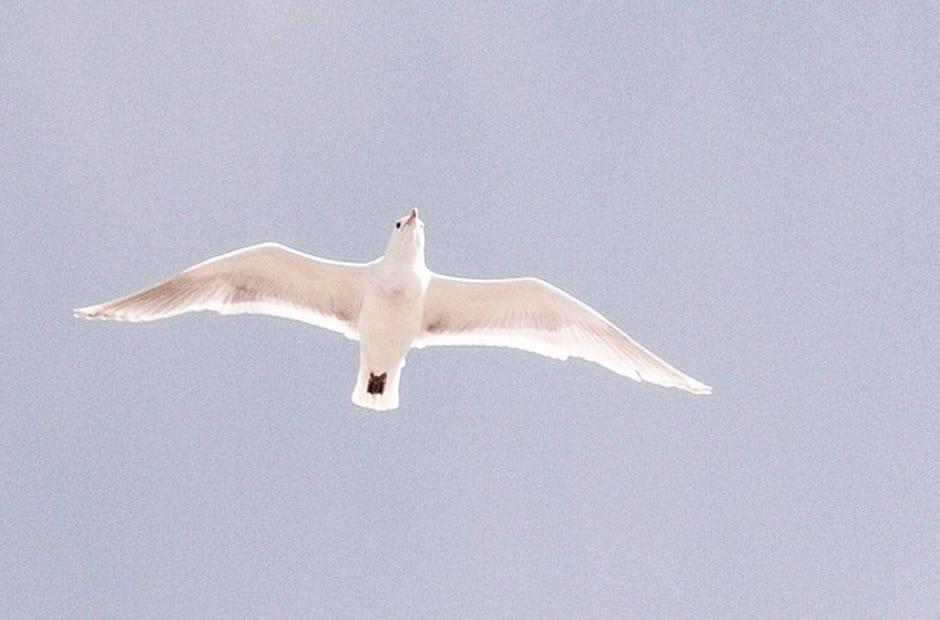 SUBMISSIONS: Send your church’s announcements to news@crestviewbulletin.com.

Pixabay.com