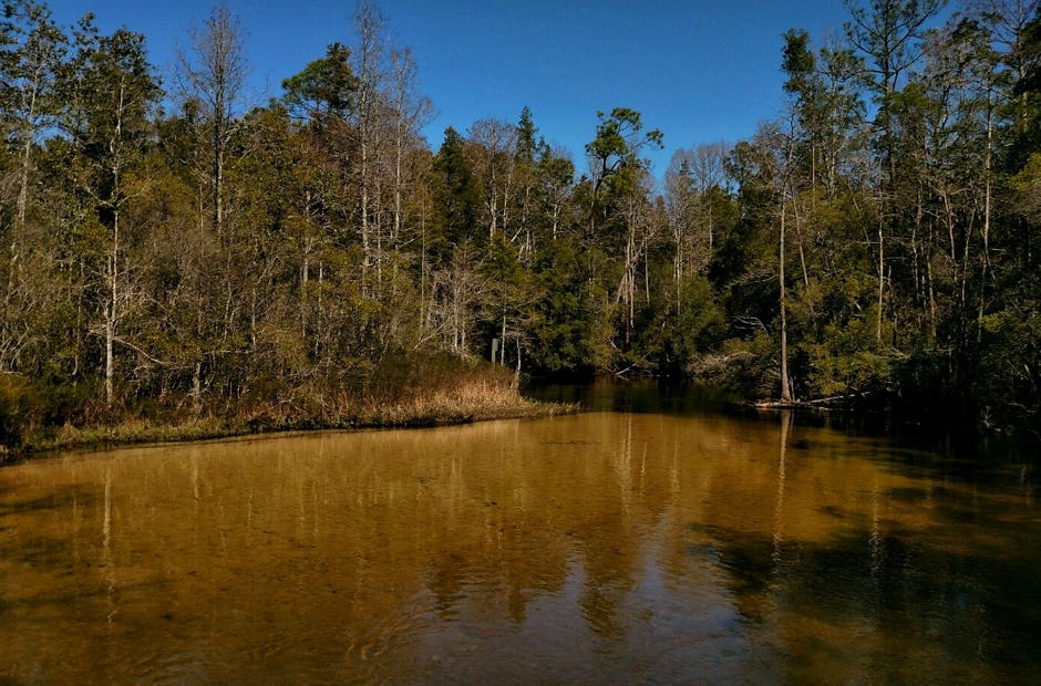 Turkey Creek is a 20-acre conservation area in Niceville. It has a boardwalk, pavilion, and numerous swimming platforms. [Erika Zambello | Special to the News Bulletin]