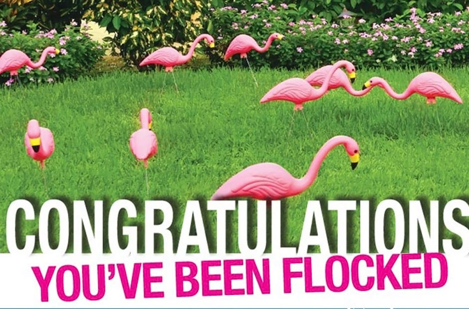 Joy Fellowship Senior High Youth Group's "Flamingo Flocking" fundraiser runs through June 1. [Special to the News Bulletin]