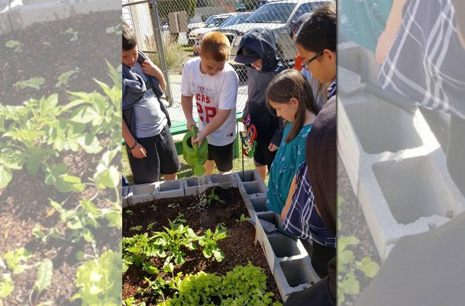Bob Sikes Elementary fourth-graders in Jordan Appelberg's fourth grade class enjoy planting and working in their raised bed garden. [Special to the News Bulletin]