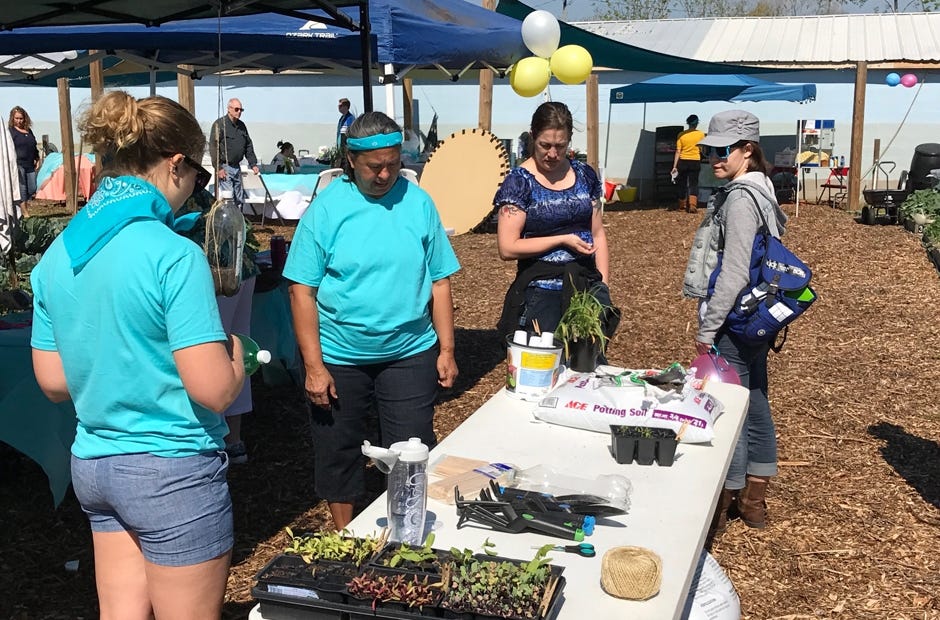 Children and adults had the chance to make their own planter using recycled soda bottles. [MARK JUDSON/NEWS BULLETIN]