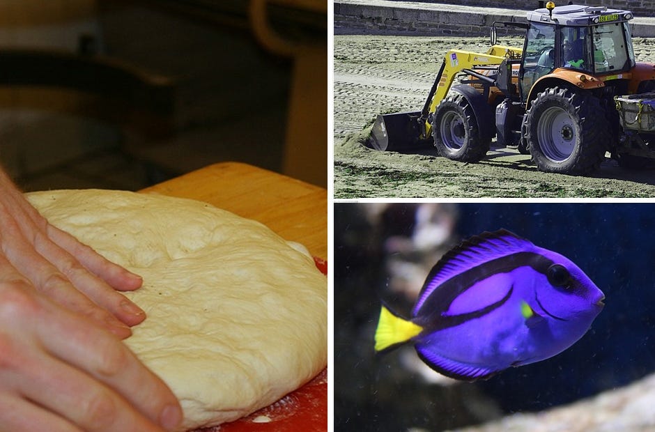 Need something to do this weekend? Check out these fun events. [Photos | Pixabay.com]