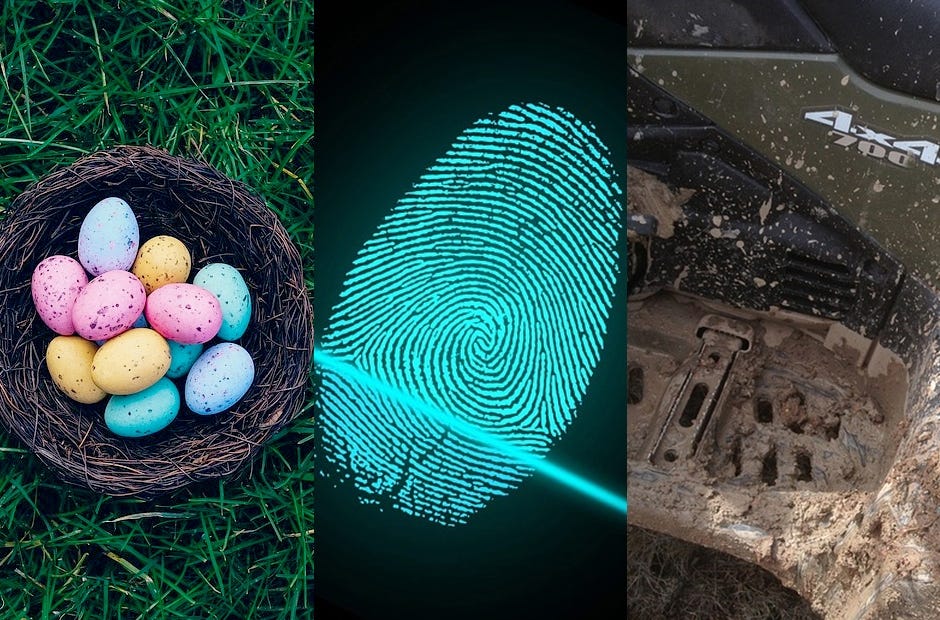 Need something to do this weekend? Check out these fun events. [Pixabay.com]