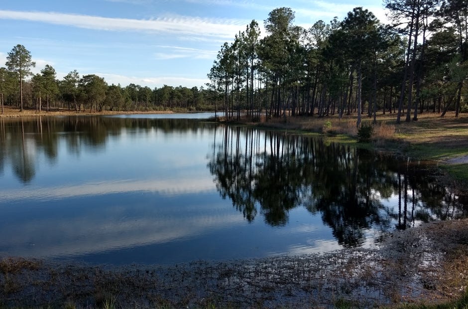 Speck Pond offers largemouth bass and panfish. [DAVID BOGGS | Special to the News Bulletin]