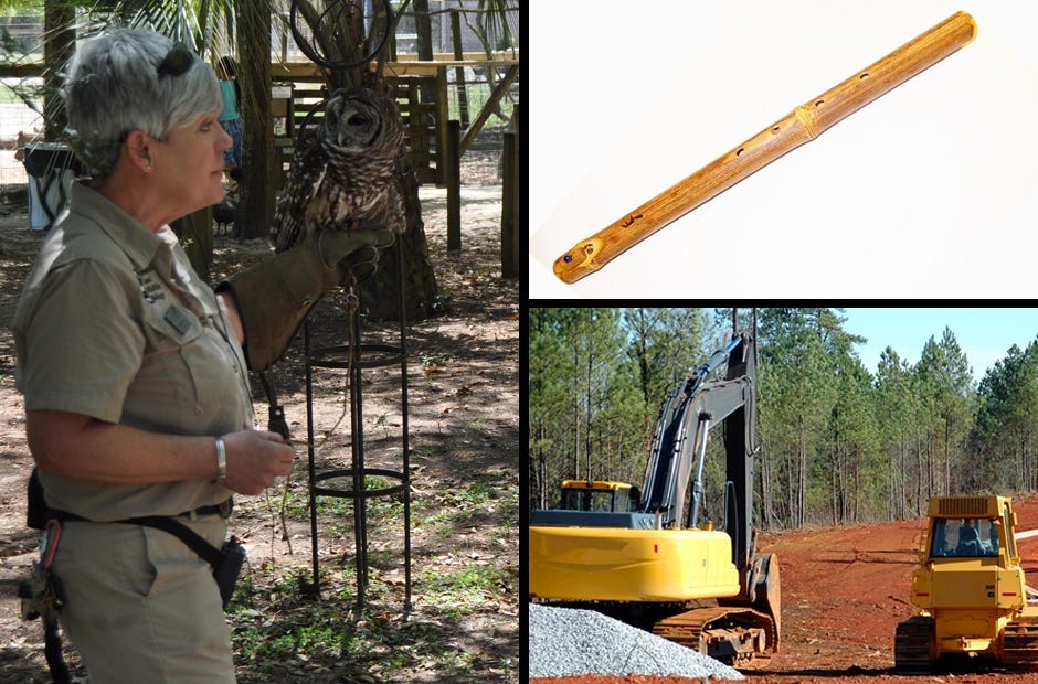 Need something to do this weekend? Check out these fun events. [Photos | Pixabay.com]