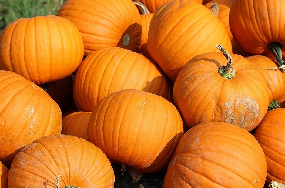 A fall bazaar fundraiser with a pumpkin patch and other booths is scheduled. [Pixabay.com]