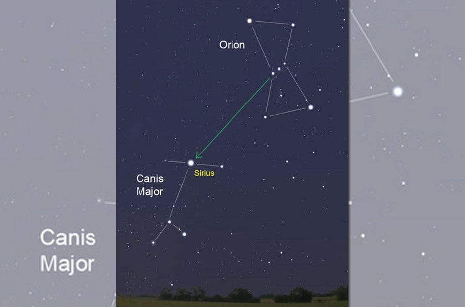 This graphic shows the position of the "dog star," Sirius, in the Canis Major constellation. [Astro Bob | Special to the News Bulletin]