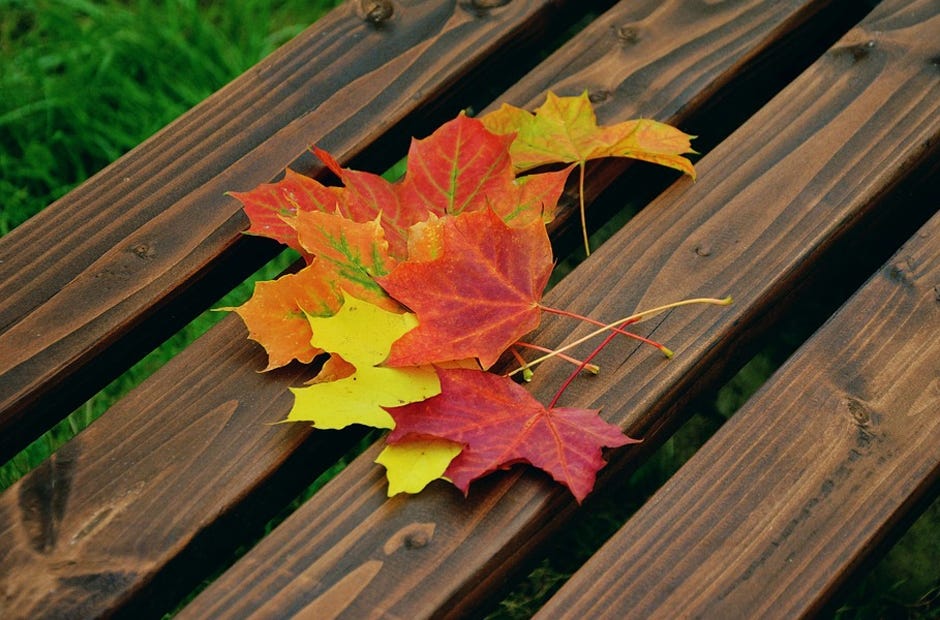 Readers who have fall events they'd like to add to the list may send the information to news@crestviewbulletin.com. [PIXABAY.COM]