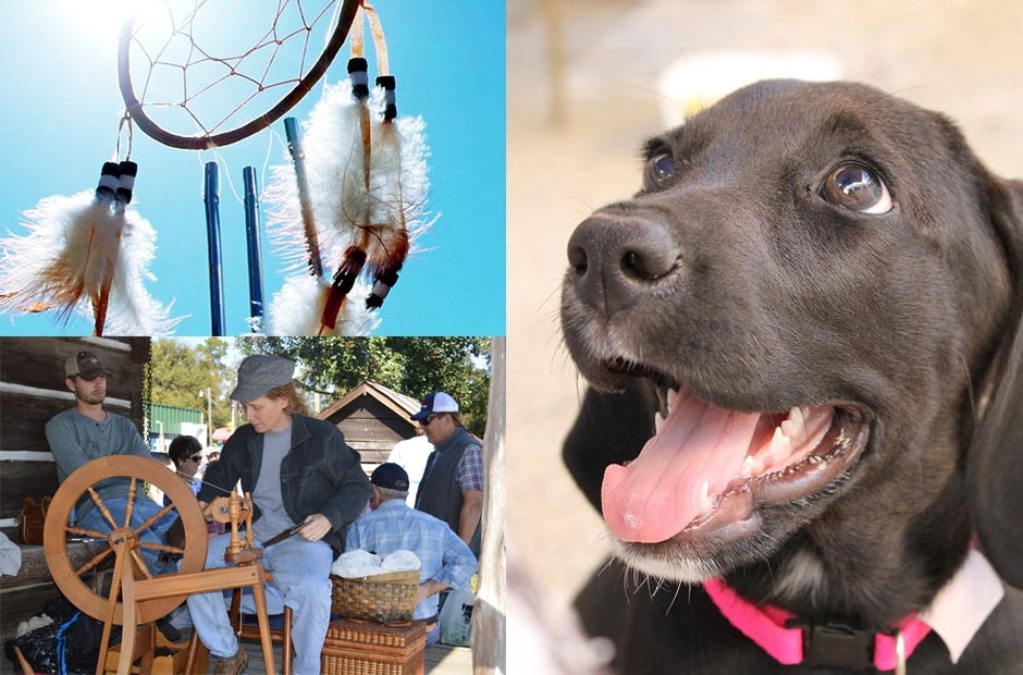 Need something to do this weekend? Check out these fun events. [SPECIAL TO THE NEWS BULLETIN]