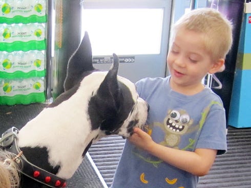 Chance Bollinger, 5, visits with Dozer the Therapy Dog Thursday afternoon at the Crestview Walgreen's.