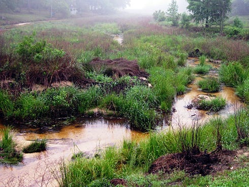 This gentle stream was once Grandview Pond until a dam collapsed after the April 30, 2014 flooding.
