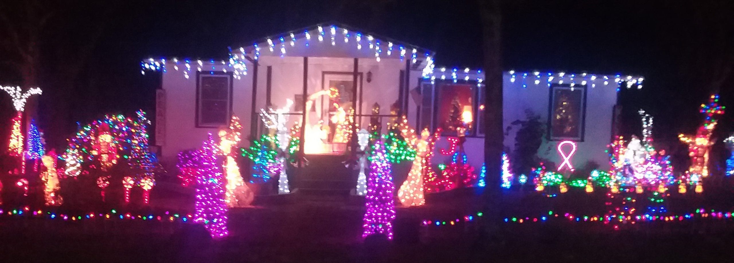 You can see Dan and Trish Gartner's Christmas lights from 5-10 p.m. seven days a week at 5206 Ray St., Milligan. [Special to the News Bulletin]