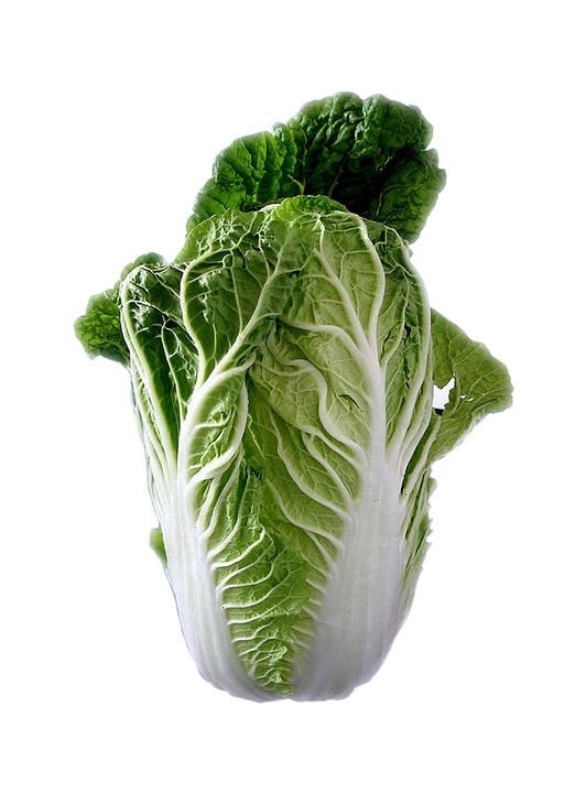 “Chinese cabbage is something that you should try,” Larry Williams writes. “It is easy to grow and tastes delicious raw or cooked.” [Pixabay.com]