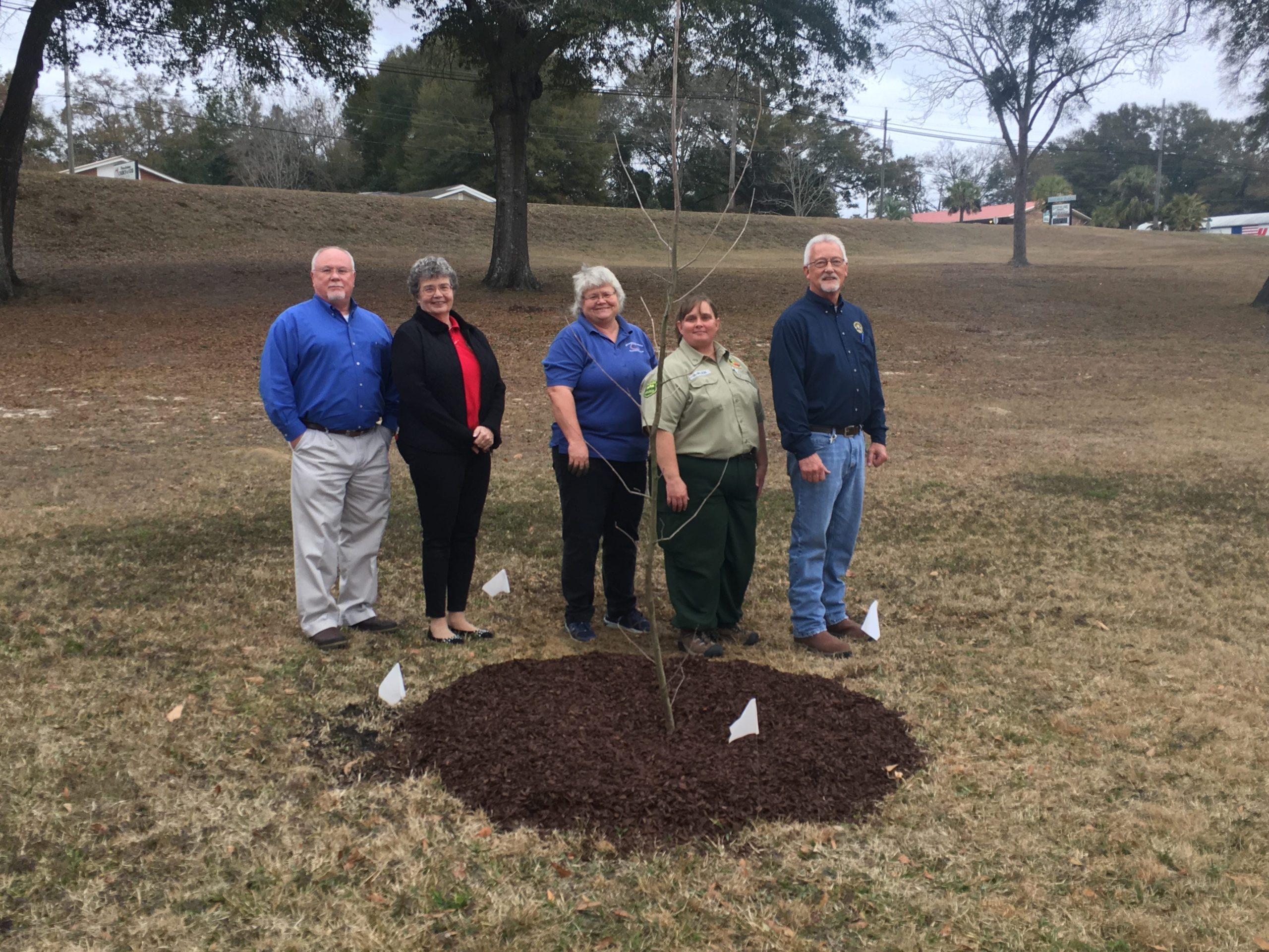 From left to right: Wayne Steele, Public Services Director; Elizabeth Roy, City Clerk; Sheila Dunning, University of Florida Horticultural Agent; Maria Wilson, Forest Service Senior Forester; and Chuck Powell, Assistant Director of Public Service. [CAITLIN RANDLE | News Bulletin]