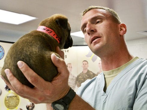 A low-cost rabies vaccination clinic is 8 a.m. to noon June 4 at five veterinarian offices in Northwest Florida.