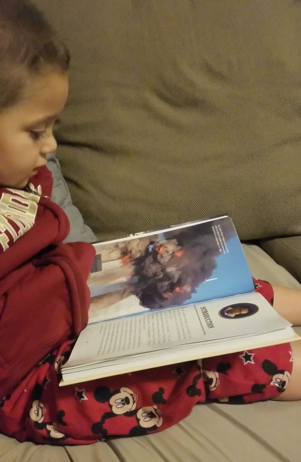 Aiden Snyder, 3, looks through the book, "How Barack Obama Fought the War on Terrorism." His mom, Rachael Gardzalla of Crestview, said, "Though he may not understand intricate details, he can identify former President Barack Obama. He learned the difference between police officers and 'gun soldiers.' He learned we live in the country America, and because of that, we are called Americans." [SPECIAL TO THE NEWS BULLETIN]