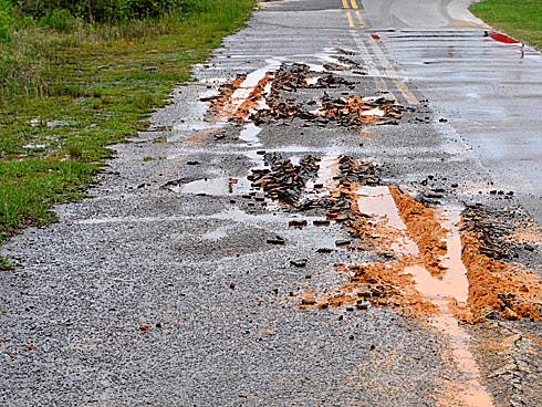 Residents living on Meadow Lake Drive seek a solution for increasing erosion on the roadway near South Ferdon Boulevard.
