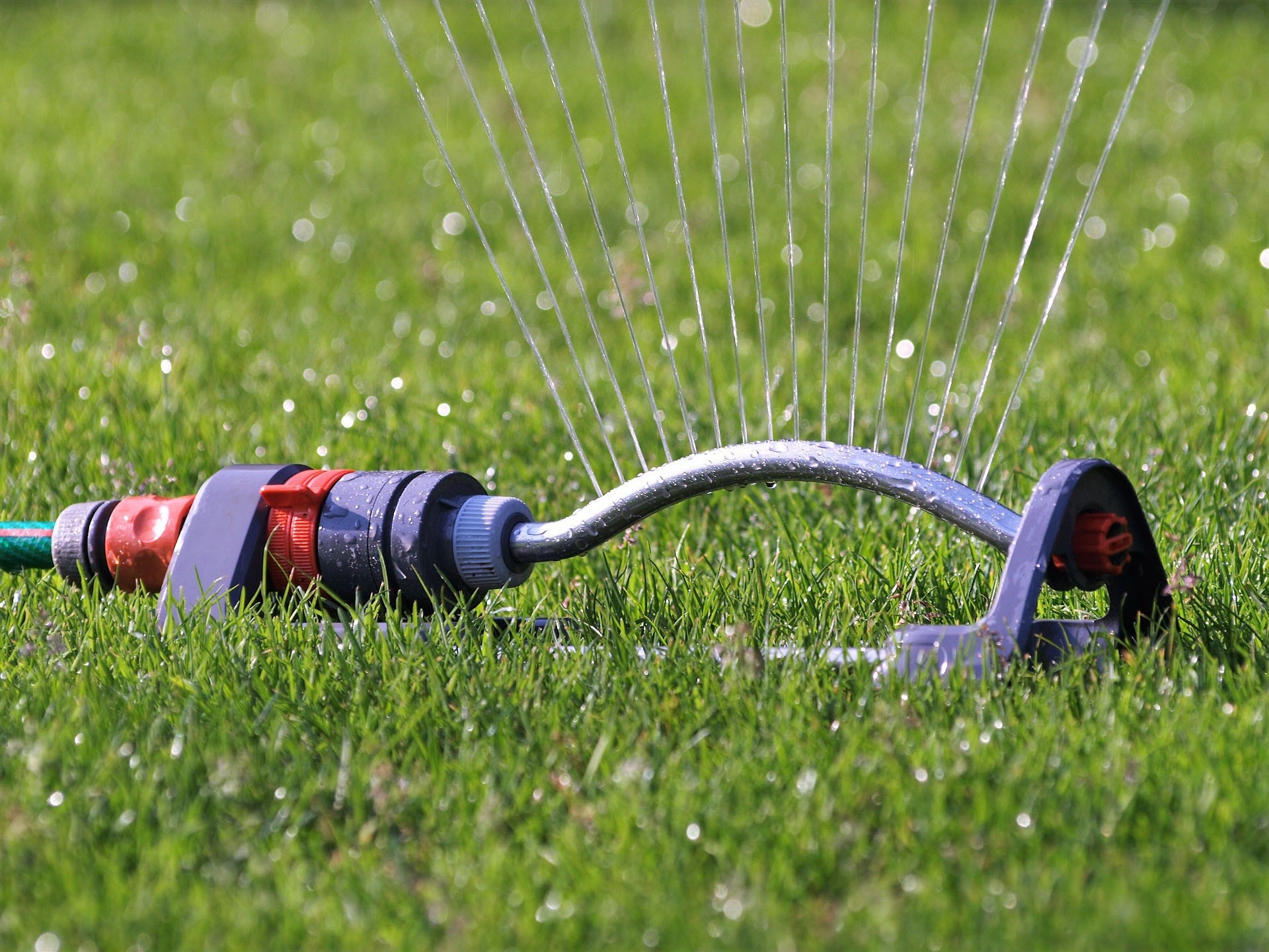 Most lawns need a half-inch to three-quarters of an inch of water within several hours to develop a strong, healthy root system. [PIXABAY]