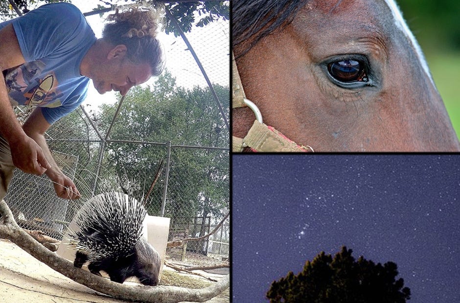 Need something to do this week? Check out these fun events. [SPECIAL TO THE NEWS BULLETIN]