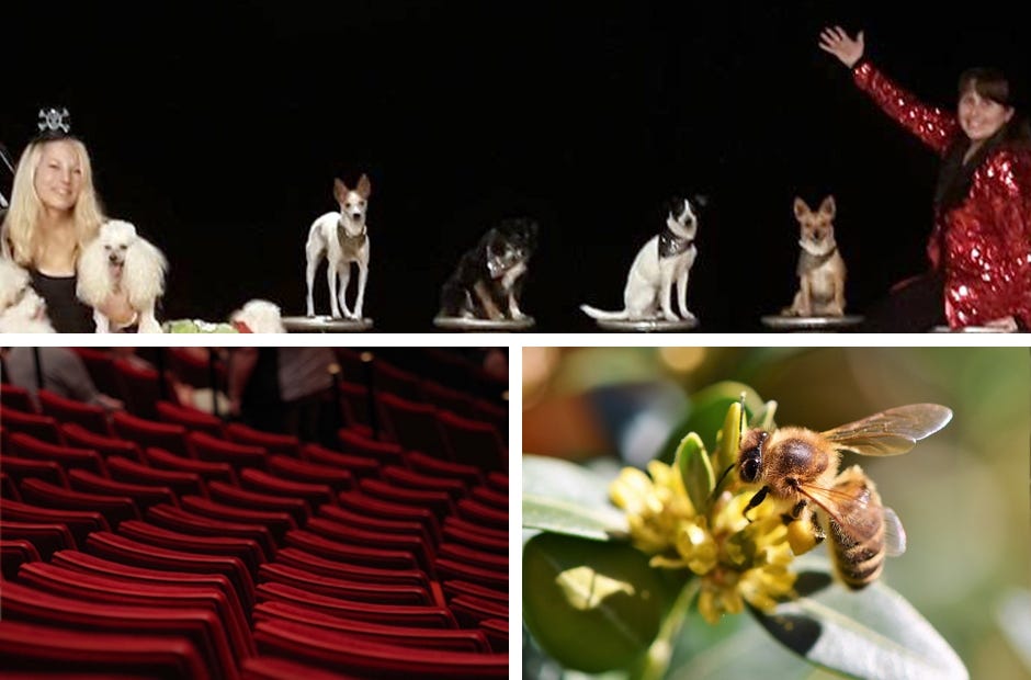 Need something to do this week? Check out these fun events. [SPECIAL TO THE NEWS BULLETIN]